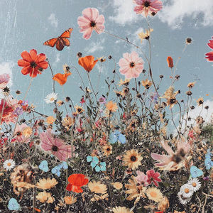 Meet your Posher, Shandogg